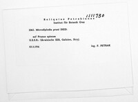 Image Associated With the Occurence